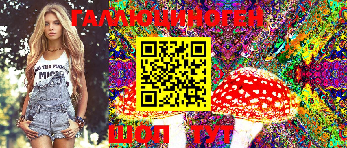 Галлюциногенные грибы Psilocybine cubensis Гусев